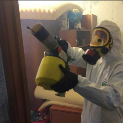 Уничтожение клопов в квартире. Котельники